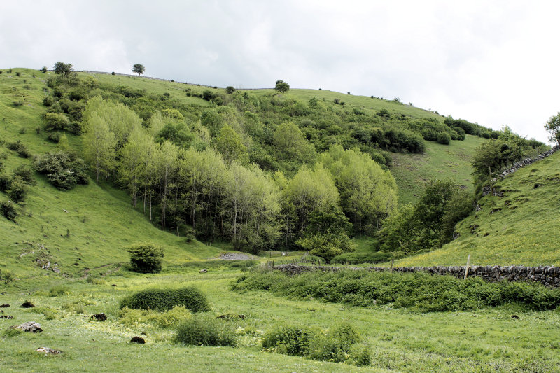 Cressbrook Dale Cressbrook Dale